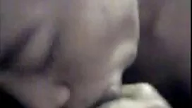Artista genitori per ...